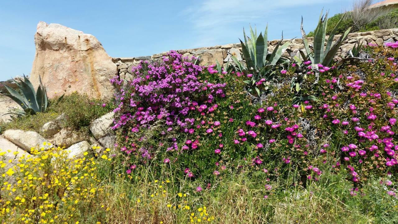 Casa Vacanze Della Maddalena Exterior foto
